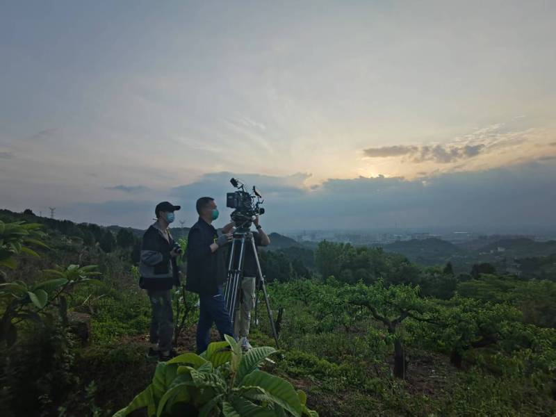 创意破圈！阿勒泰市电商产品宣传视频用故事化叙事引爆流量