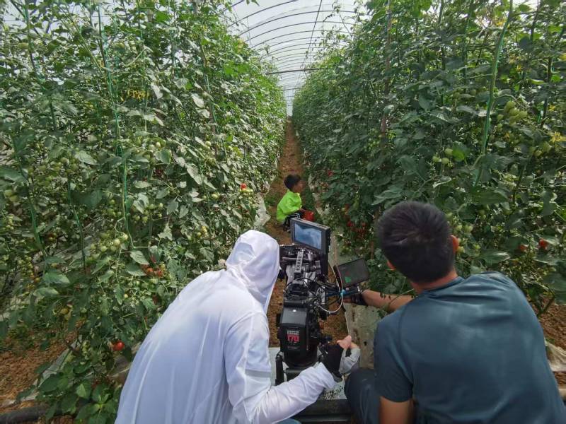 阿勒泰市产品宣传视频拍摄公司进阶指南，助力品牌抢占传播高地